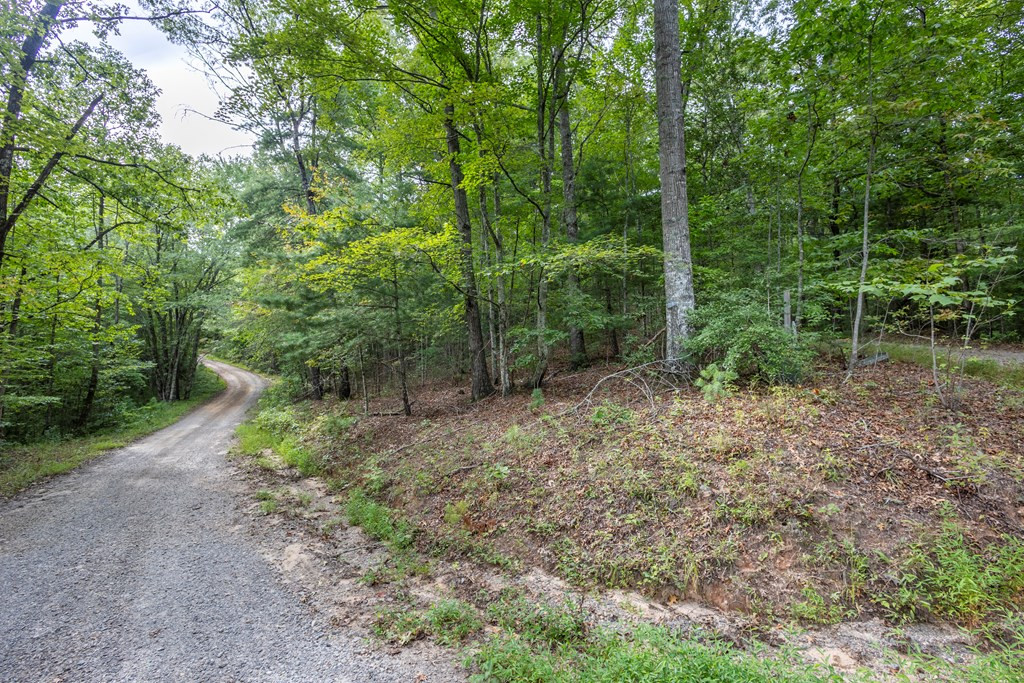 2 Ac 6 Horvath Road Property Photo 6