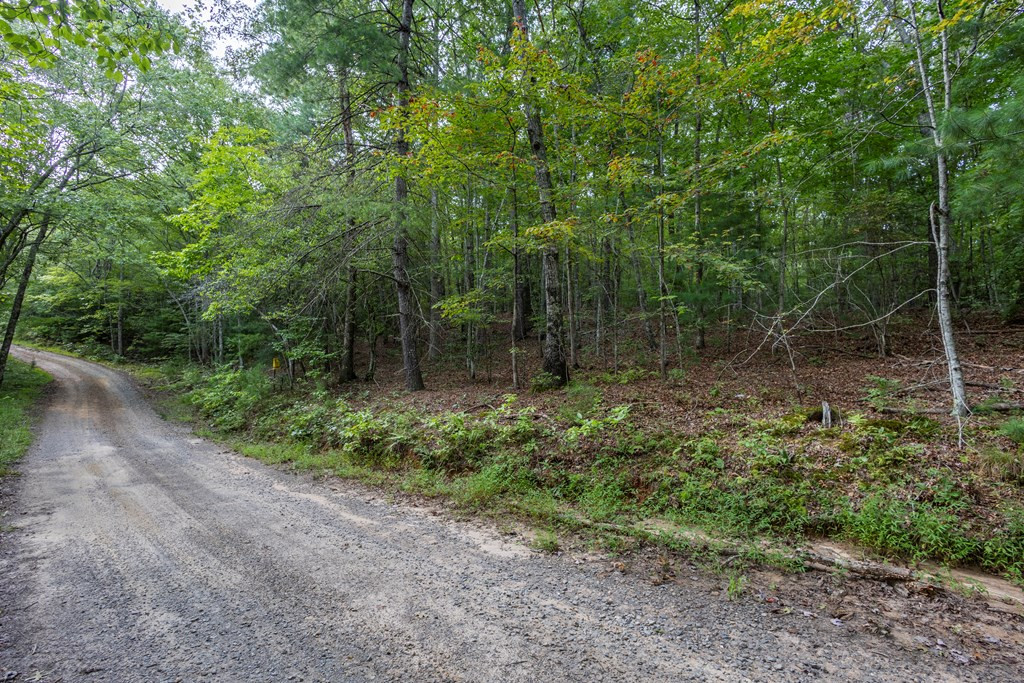 2 Ac 6 Horvath Road Property Photo 7