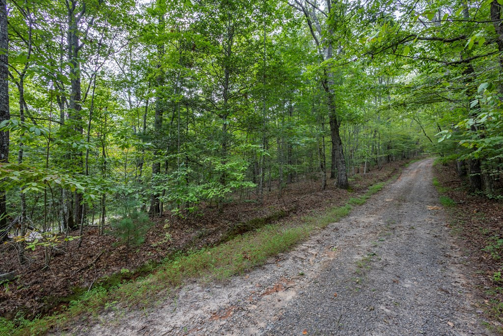 2 Ac 6 Horvath Road Property Photo 8
