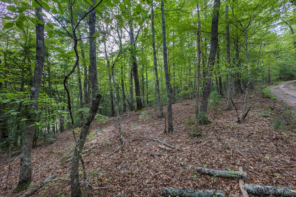 2 Ac 6 Horvath Road Property Photo 9