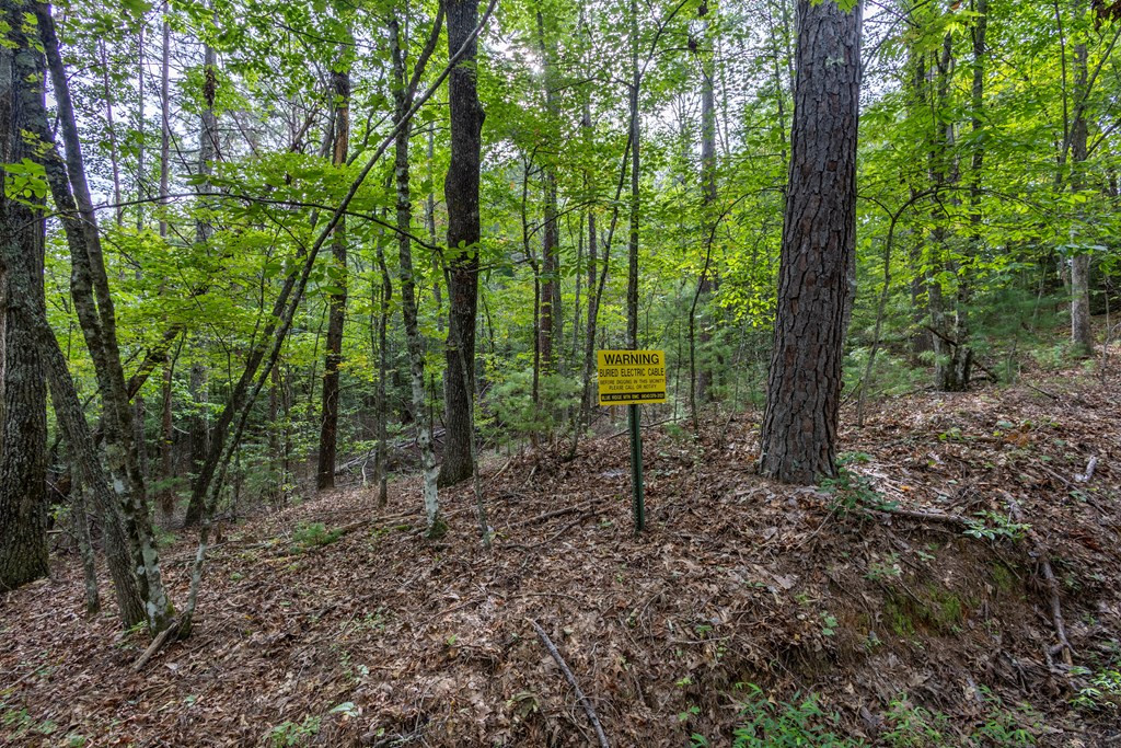 2 Ac 6 Horvath Road Property Photo 10