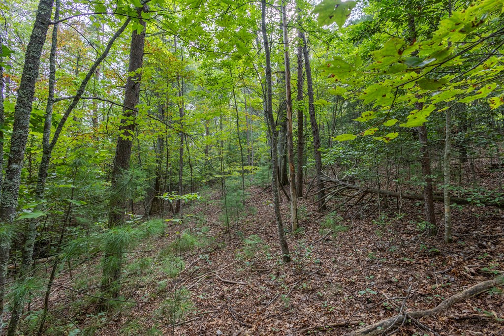 2 Ac 6 Horvath Road Property Photo 11