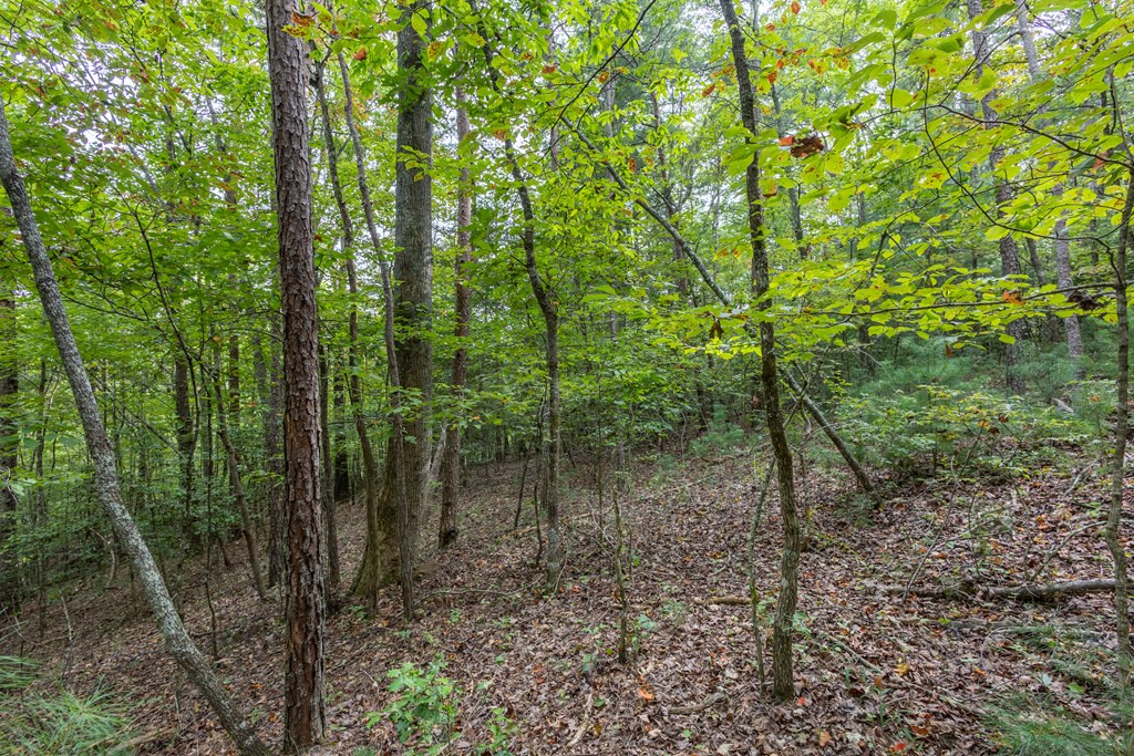 2 Ac 6 Horvath Road Property Photo 12