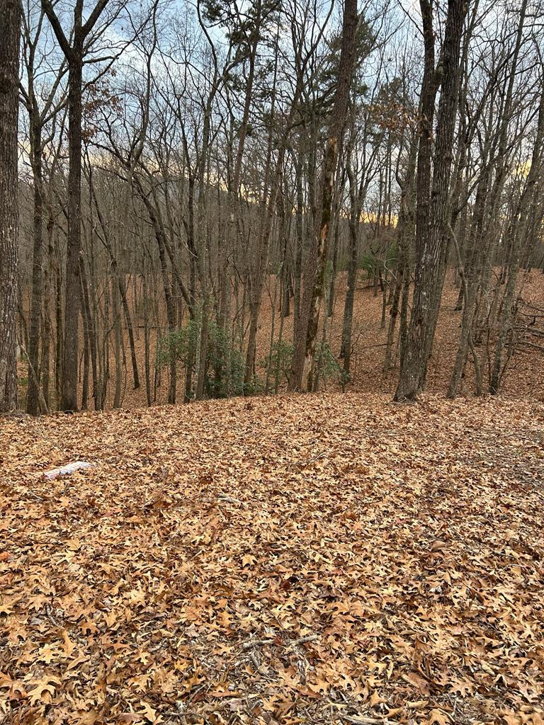 0 Tracks Hollow Property Photo 1