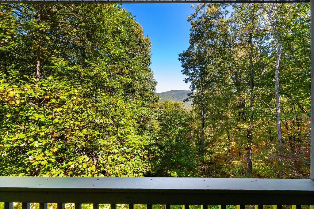 155 Turkey Pen Drive Property Photo 72