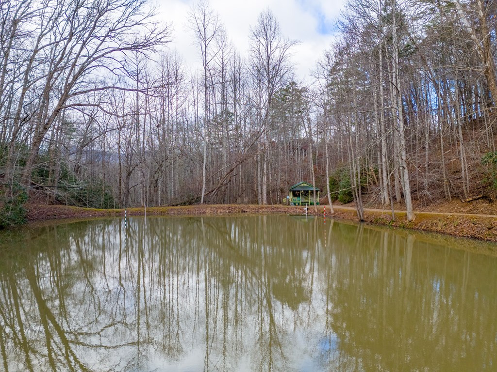 180 Valley Lane Property Photo 48
