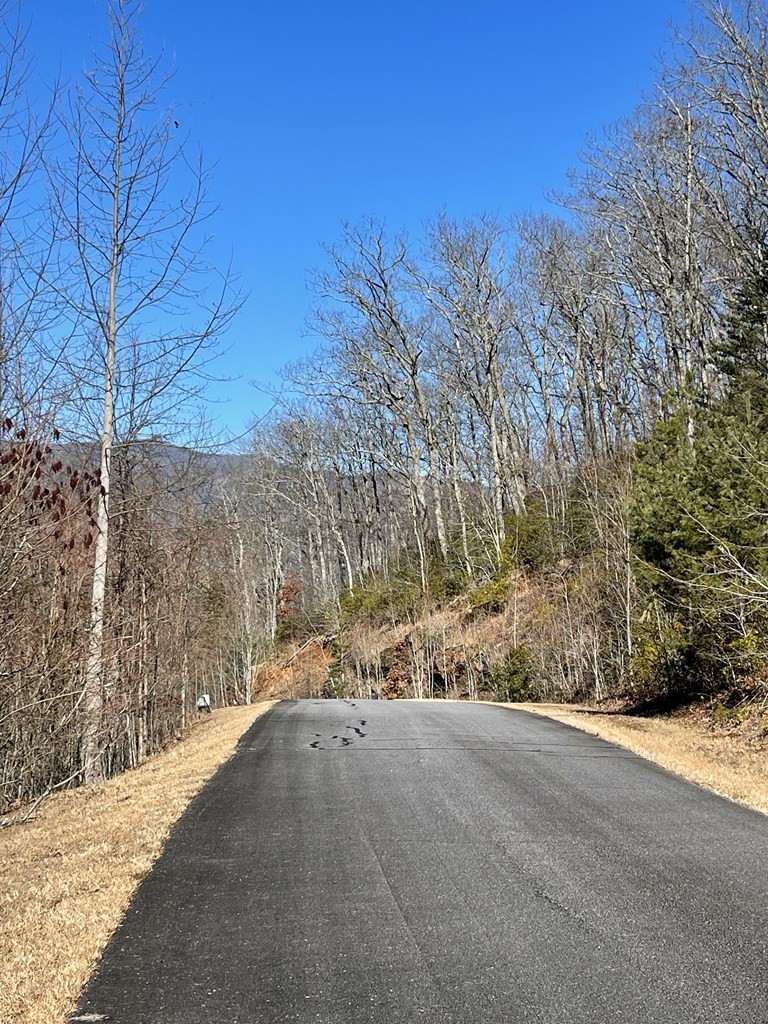 Lot 29j 29j Ash Branch Rd Property Photo 4