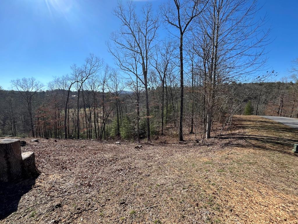 17 17 Fish Hawk Ridge