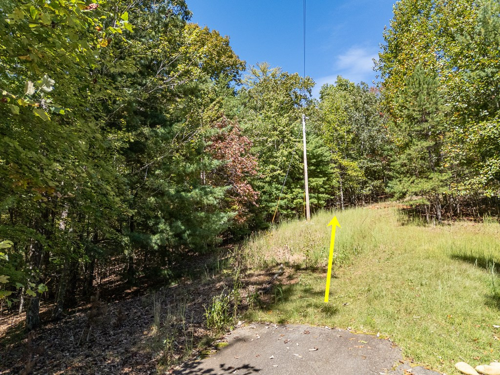 0 Wolf Print Property Photo 2