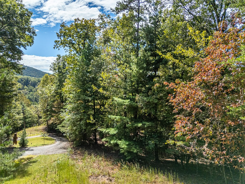0 Wolf Print Property Photo 3