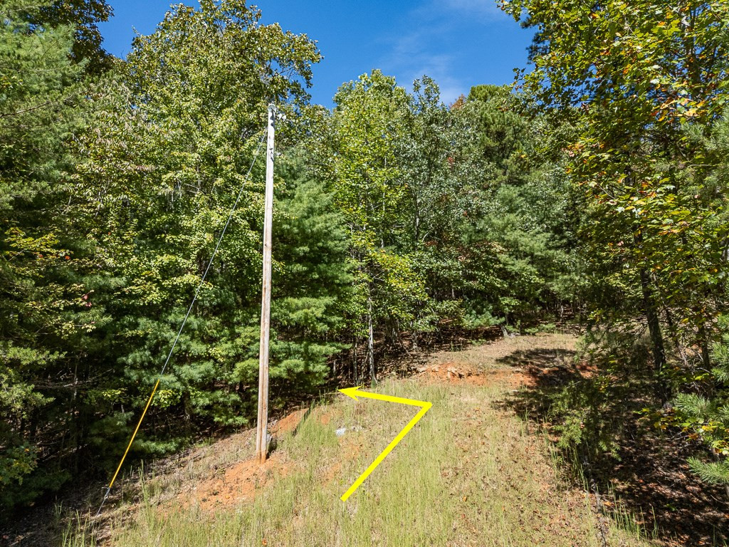 0 Wolf Print Property Photo 4