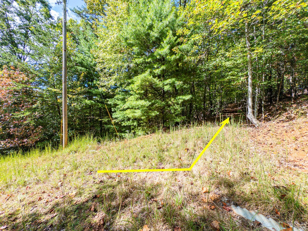 0 Wolf Print Property Photo 5