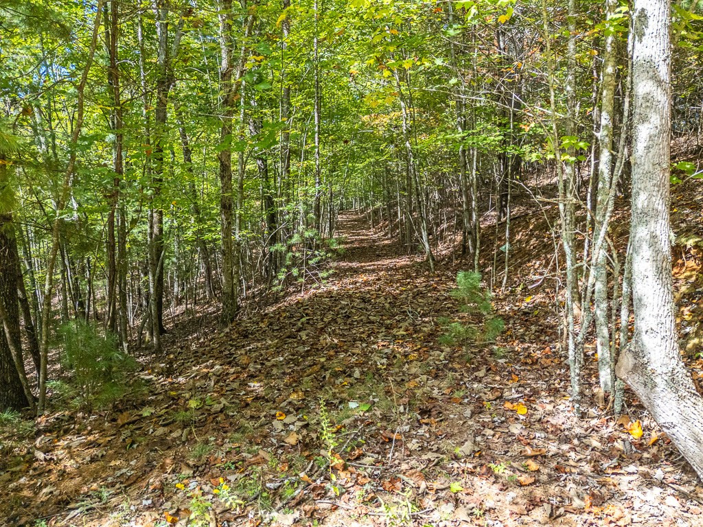 0 Wolf Print Property Photo 6