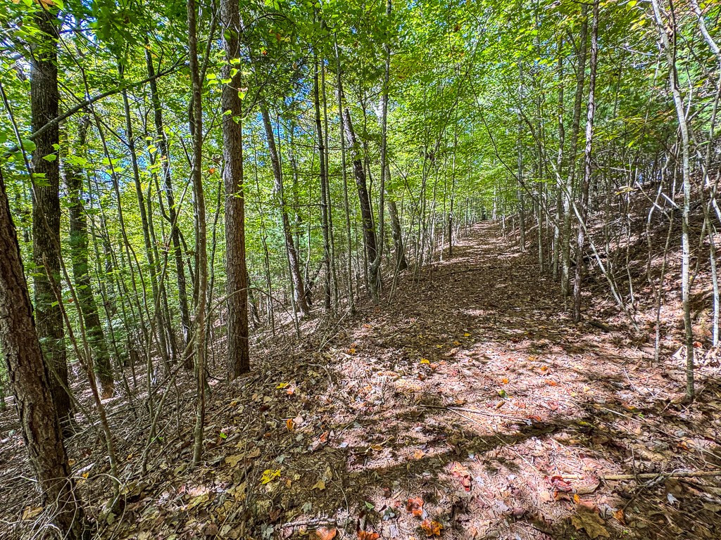0 Wolf Print Property Photo 7