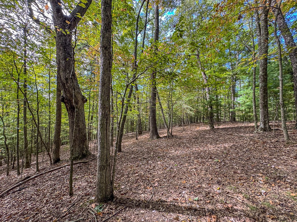0 Wolf Print Property Photo 8