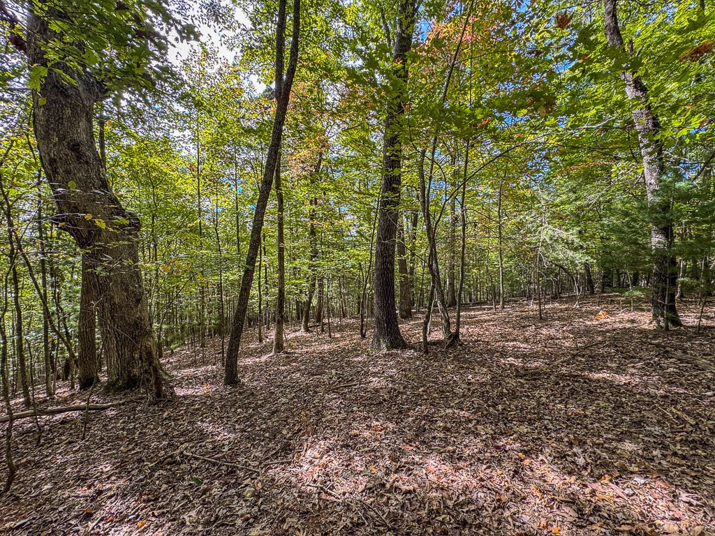 0 Wolf Print Property Photo 11