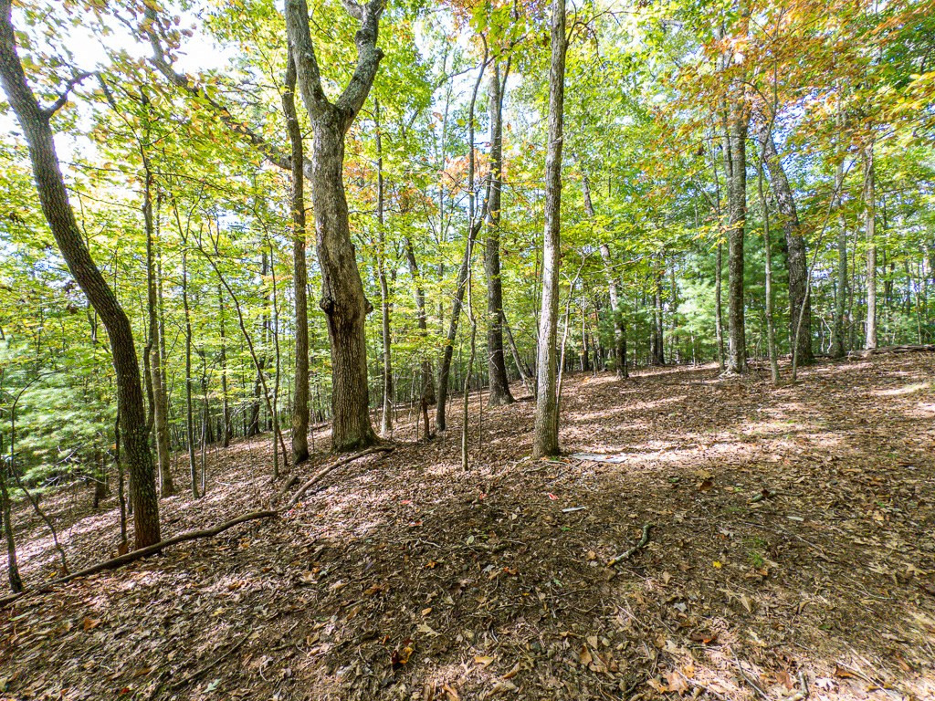 0 Wolf Print Property Photo 12