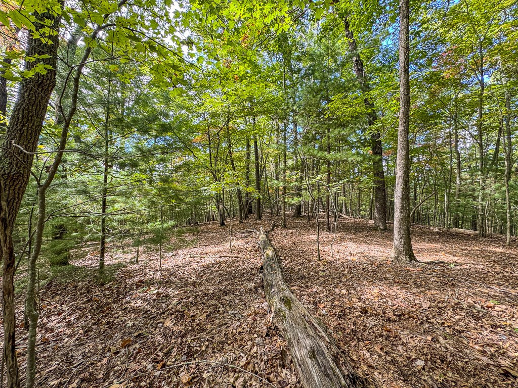 0 Wolf Print Property Photo 13