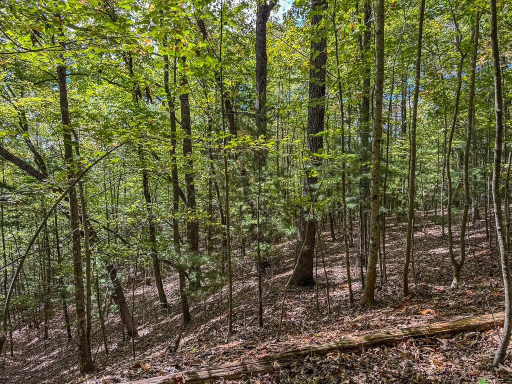 0 Wolf Print Property Photo 15