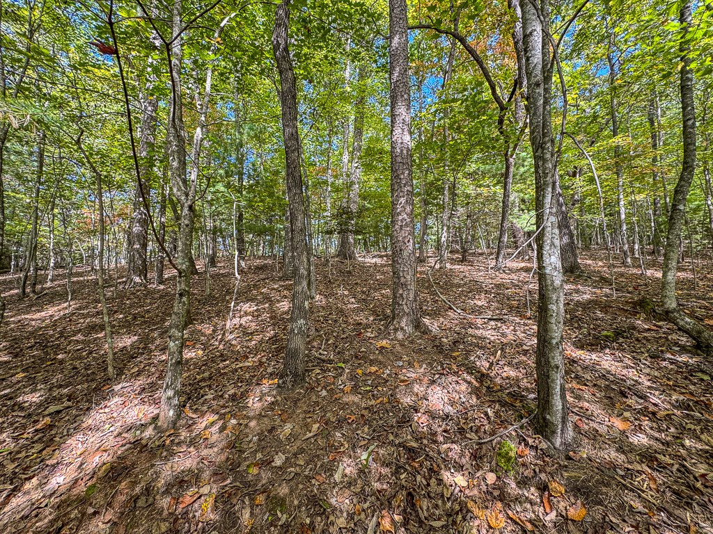 0 Wolf Print Property Photo 16