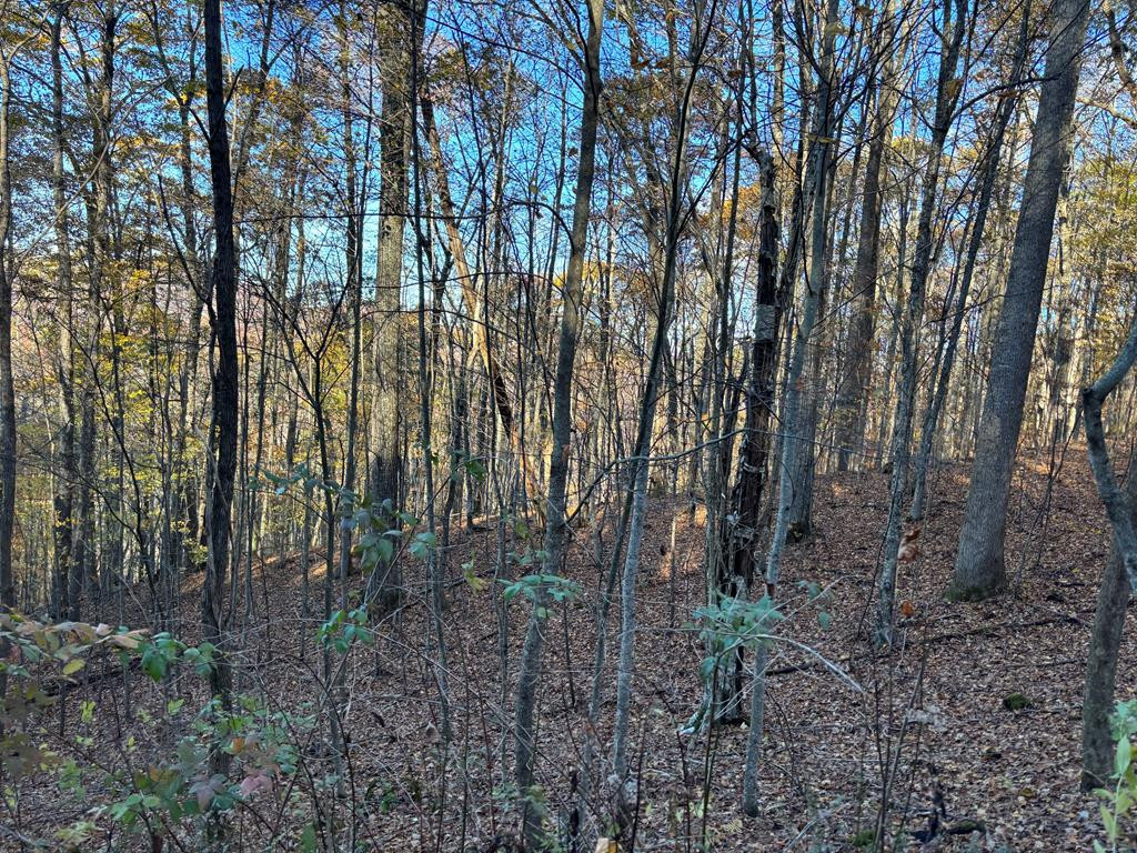 Lot#39 39 Falcon Stone Ridge Property Photo 1