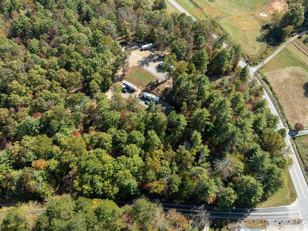 90 Sandy Gap Road Property Photo 5