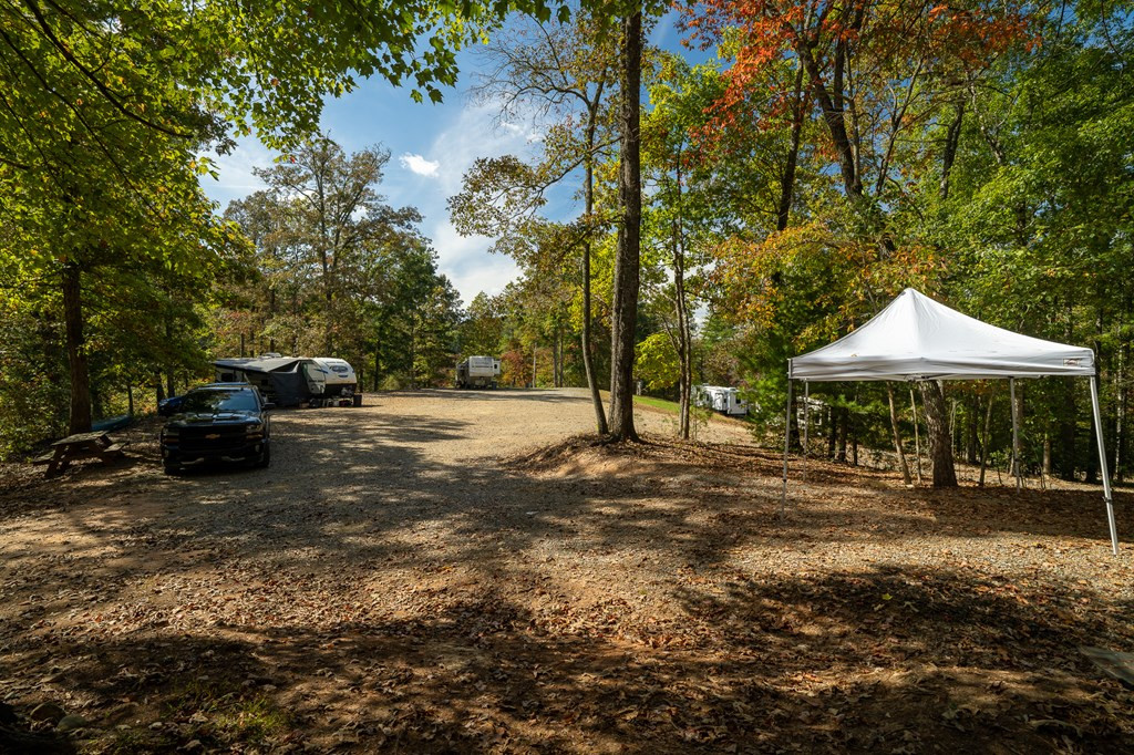 90 Sandy Gap Road Property Photo 16