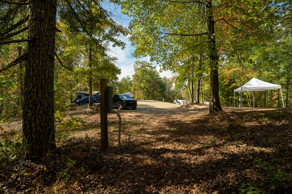 90 Sandy Gap Road Property Photo 17