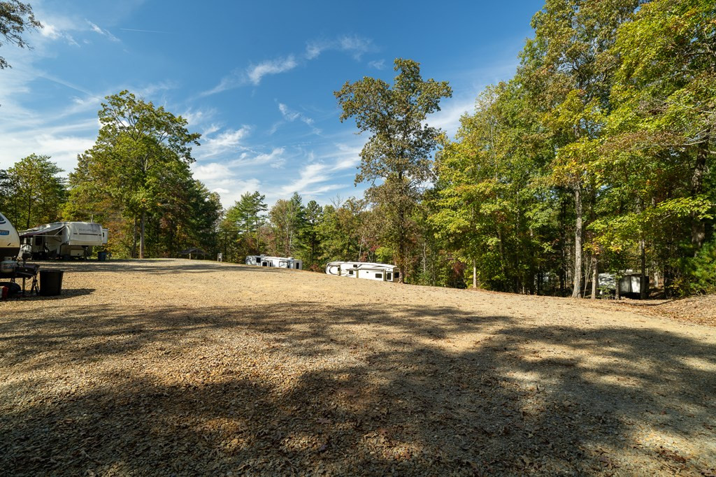 90 Sandy Gap Road Property Photo 19