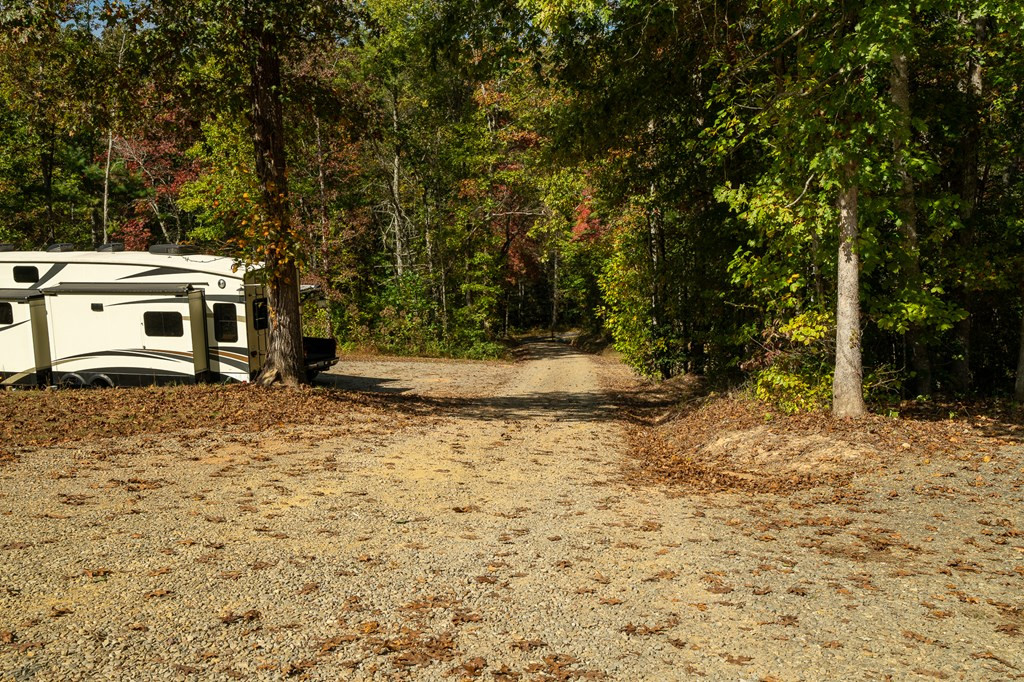 90 Sandy Gap Road Property Photo 21