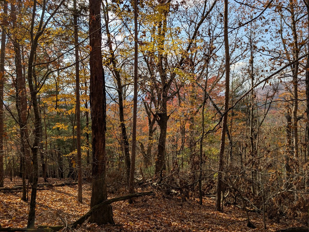 902 15b Mountain Top Drive Property Photo 6