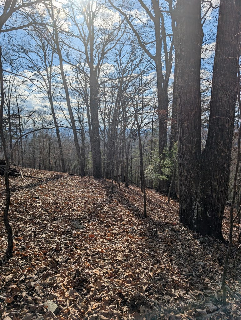 902 15b Mountain Top Drive Property Photo 10