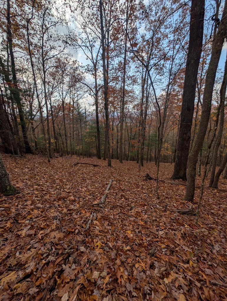 902 15b Mountain Top Drive Property Photo 11