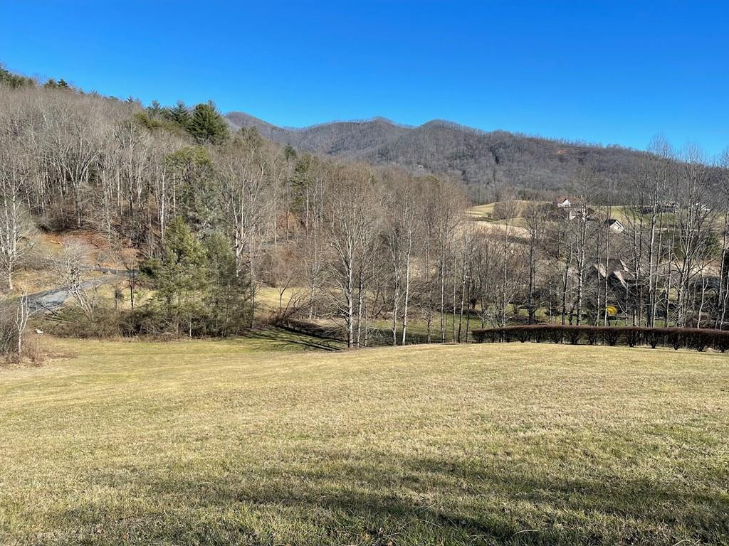Lot 21c 21c Ash Branch Circle Property Photo 1