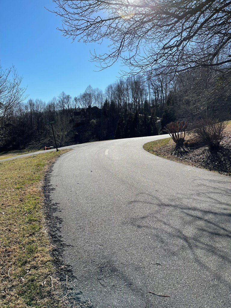 Lot 21c 21c Ash Branch Circle Property Photo 4