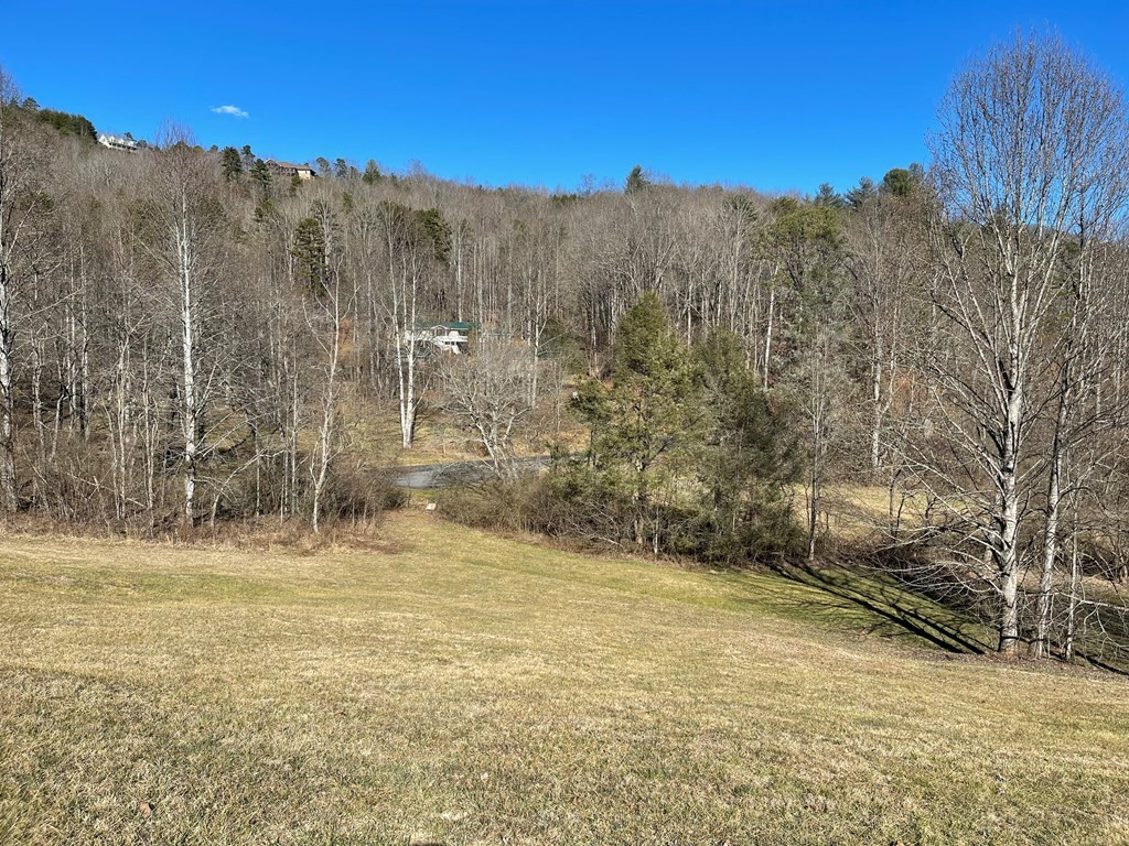 Lot 21c 21c Ash Branch Circle Property Photo 5