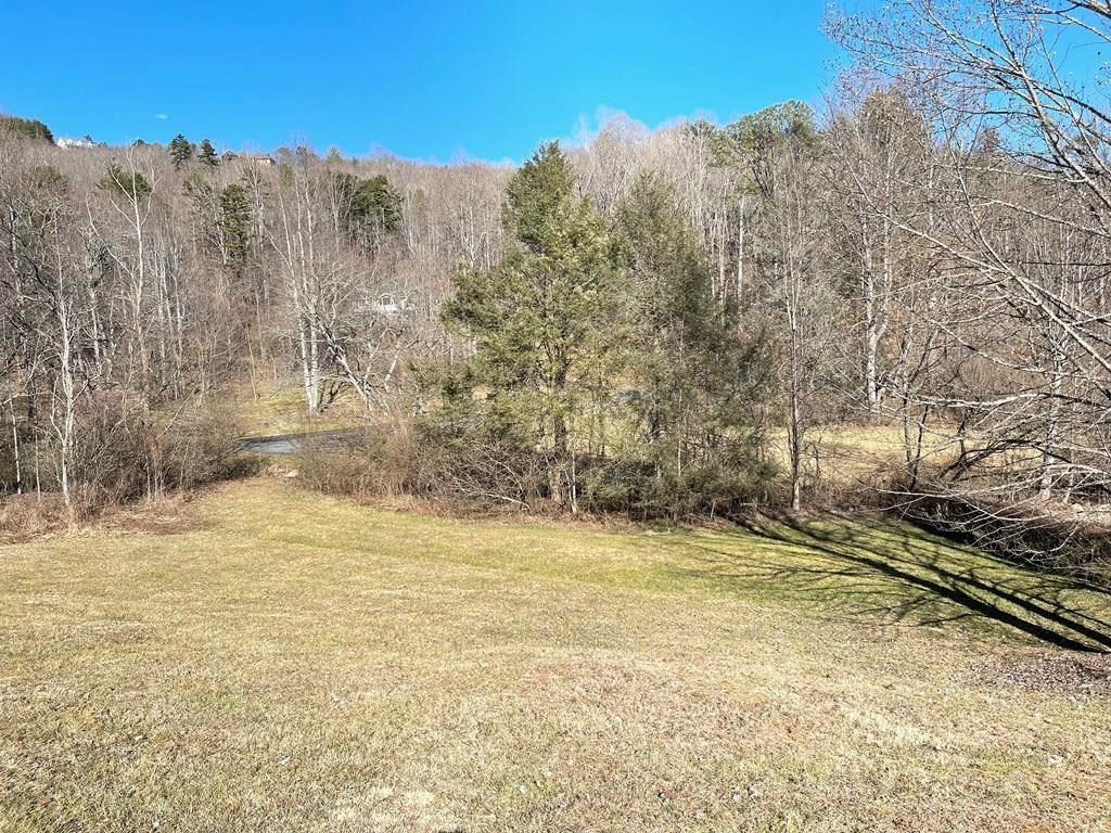 Lot 21c 21c Ash Branch Circle Property Photo 2