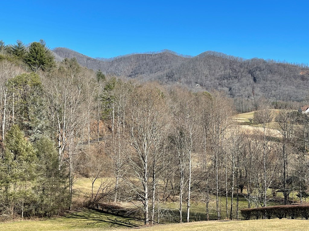 Lot 21c 21c Ash Branch Circle Property Photo 3