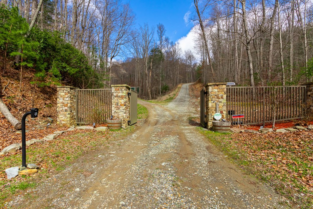 57 Eagles Nest Trail Property Photo 4