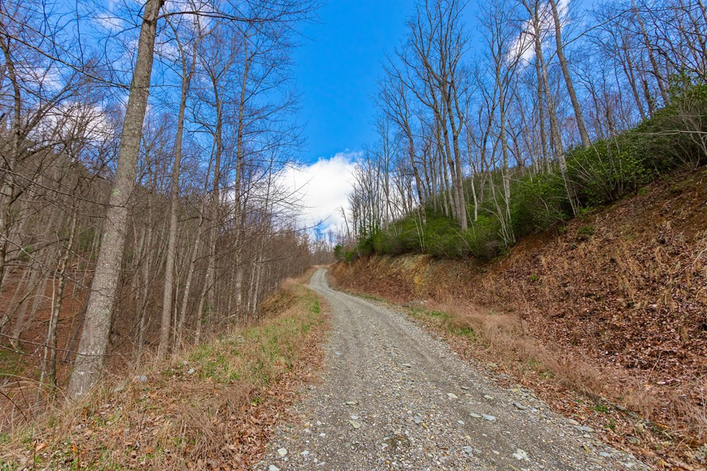 57 Eagles Nest Trail Property Photo 10