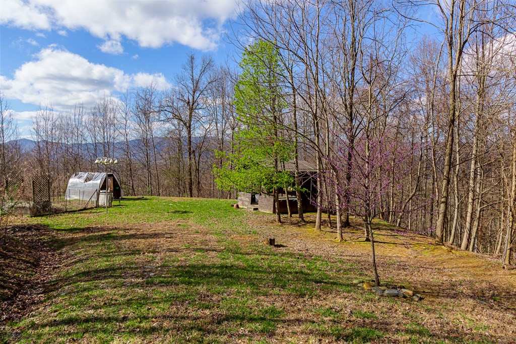 57 Eagles Nest Trail Property Photo 75
