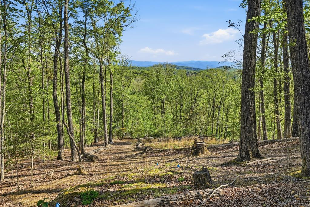 194 Quiet Woods Trail Property Photo 44