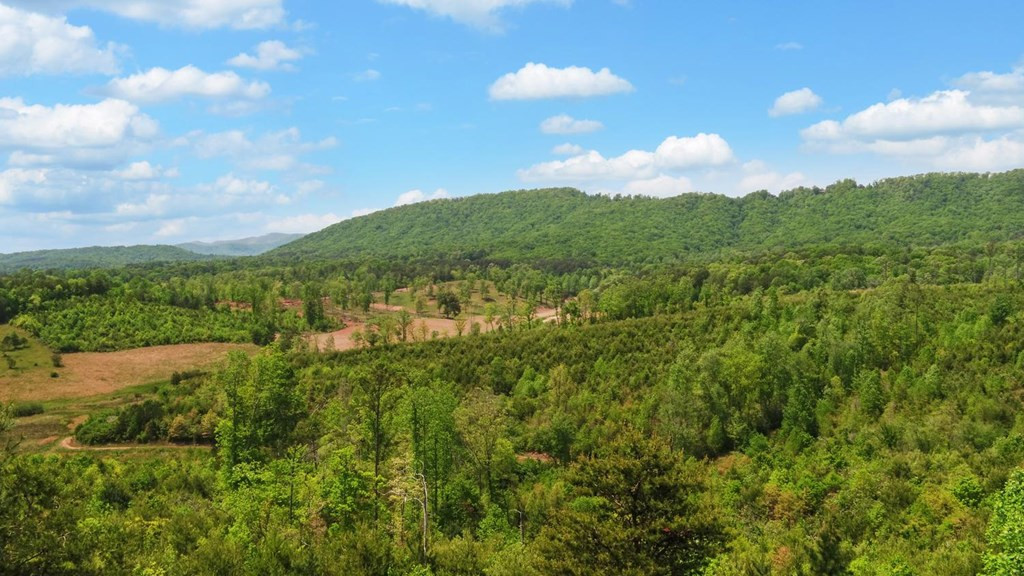322 Deer Haven Trail Property Photo 3