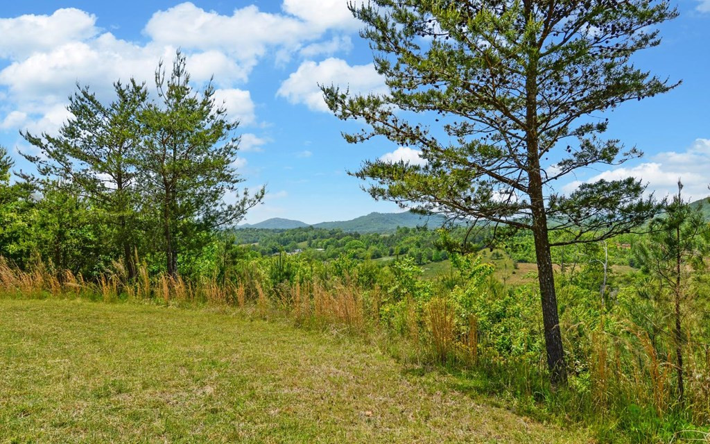 322 Deer Haven Trail Property Photo 33