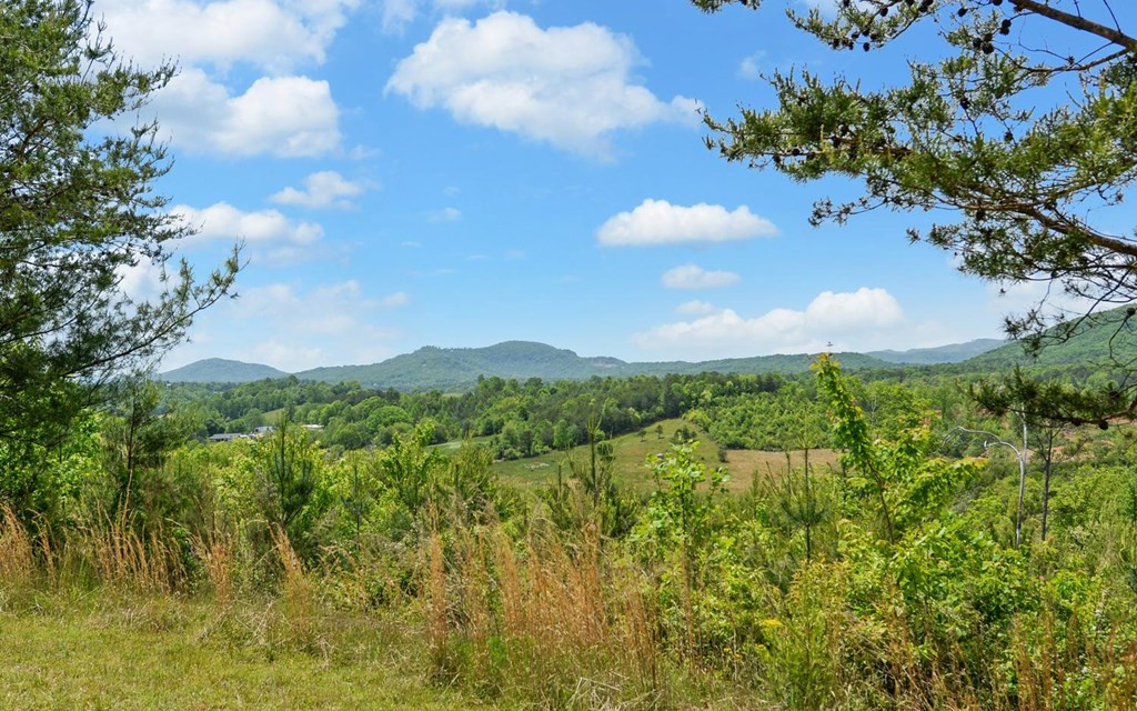 322 Deer Haven Trail Property Photo 34