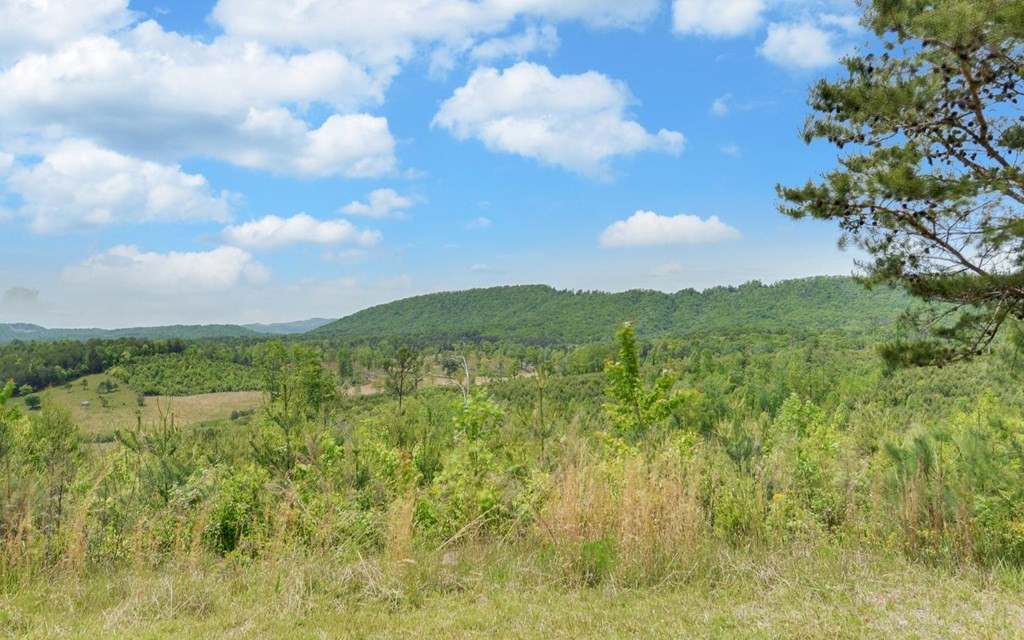 322 Deer Haven Trail Property Photo 35