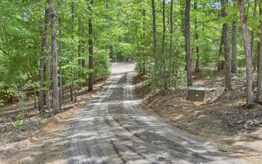 322 Deer Haven Trail Property Photo 39
