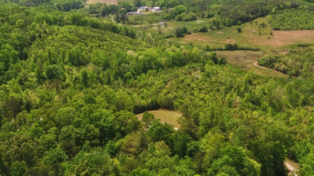 322 Deer Haven Trail Property Photo 43