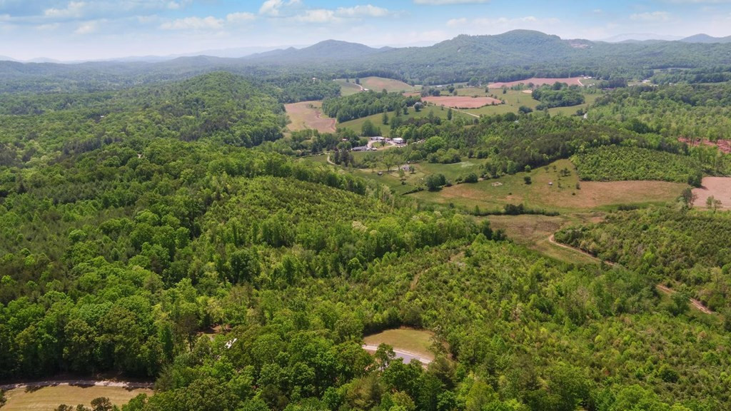 322 Deer Haven Trail Property Photo 44