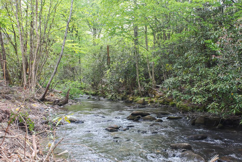 795 Porterfield Gap Road Property Photo 4